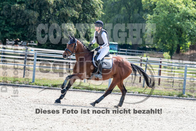 Late-Entry-Vielseitigkeit Langenfeld (11.+13./14.06.2020)
