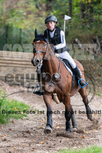 Goldene Schärpe 2020 - Pferde