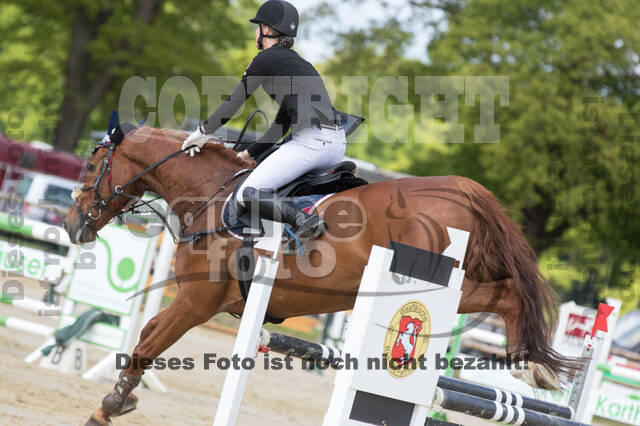 Sterne über Münster 2019 - CCI***S