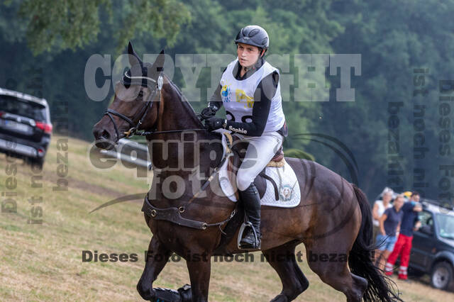 Late-Entry Vielseitigkeit Hamminkeln/Wesel (01.+02.08.2020)