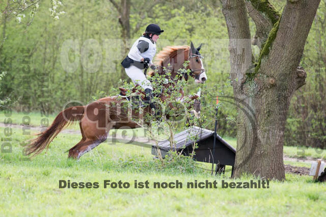 Vielseitigkeitsturnier RV Lippe-Bruch-Gahlen