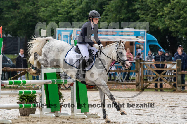 Goldene Schärpe 2021 - Ponys