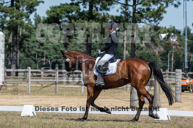 Kronenberg - De Peelbergen (August 2020)