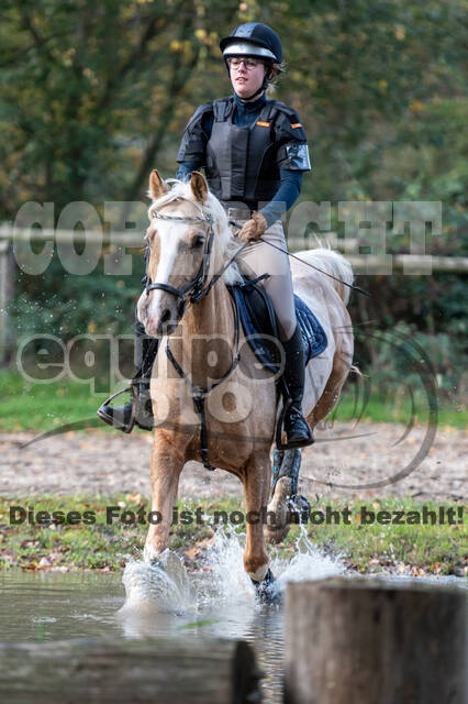 IGV Lehrgang der Sieger der Cups mit Frank Ostholt