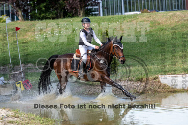 Late-Entry-Vielseitigkeit Langenfeld (11.+13./14.06.2020)