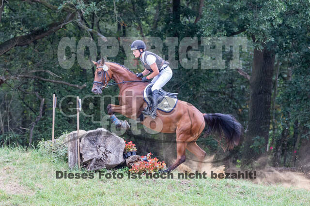 Late-Entry Vielseitigkeit Hamminkeln/Wesel (01.+02.08.2020)