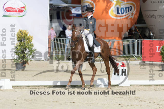 FEI European Championship Eventing 2017