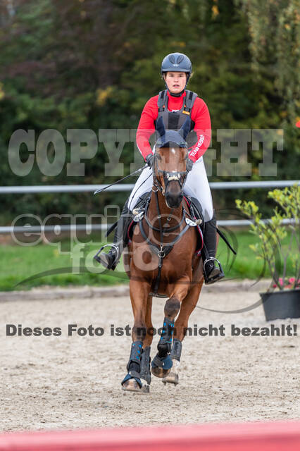 Goldene Schärpe 2020 - Pferde