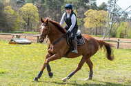 Geländetraining ZRFV Hamminkeln (24+25.04.2021)