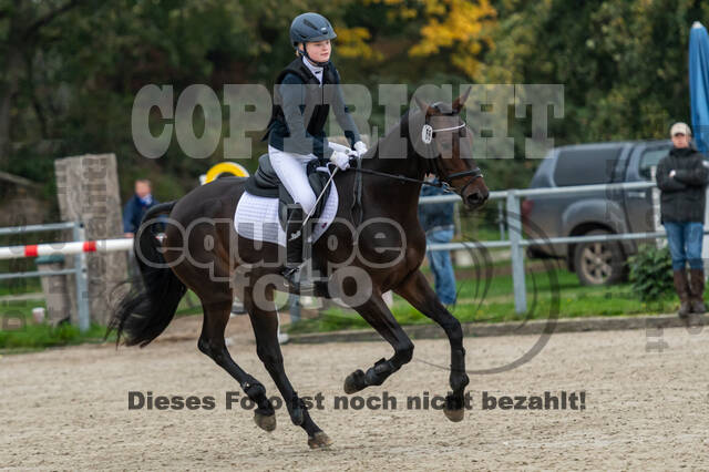 Reiter Schleswig-Holstein