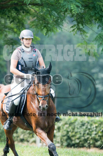 RFV Bad Honnef