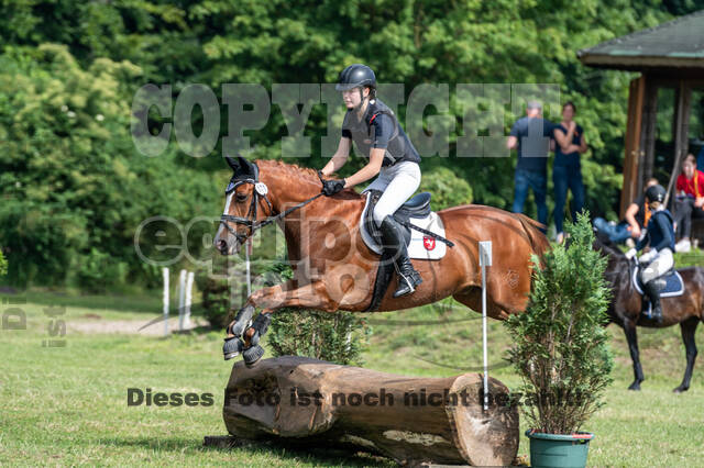 Goldene Schärpe 2021 - Ponys