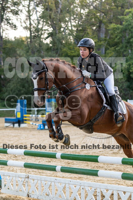 RFV Dinslaken-Hiesfeld (Herbstturnier)
