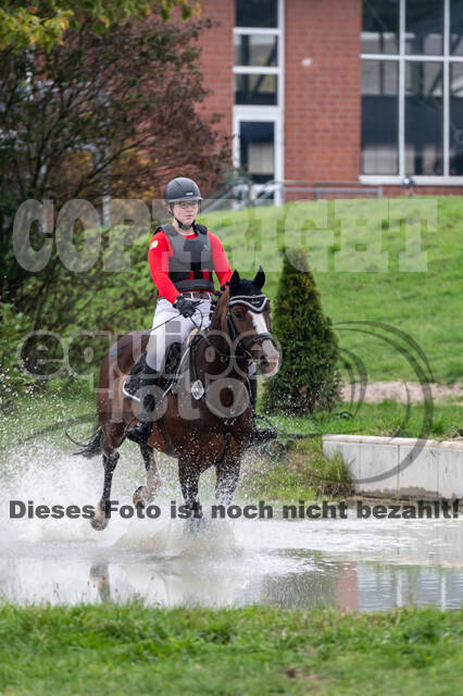 Goldene Schärpe 2020 - Pferde