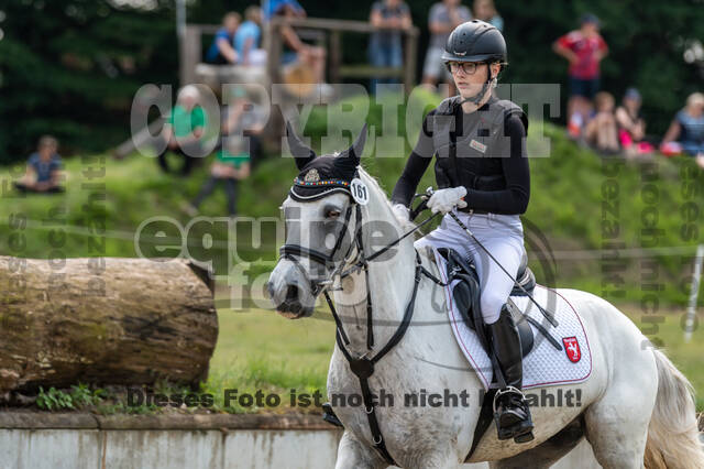 Goldene Schärpe 2021 - Ponys