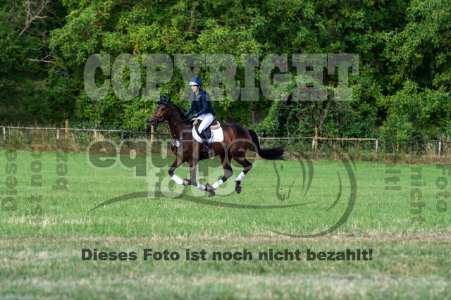 Bonn-Rodderberg Late-Entry-Vielseitigkeit (30.06.2020)