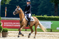Goldene Schärpe 2021 - Ponys