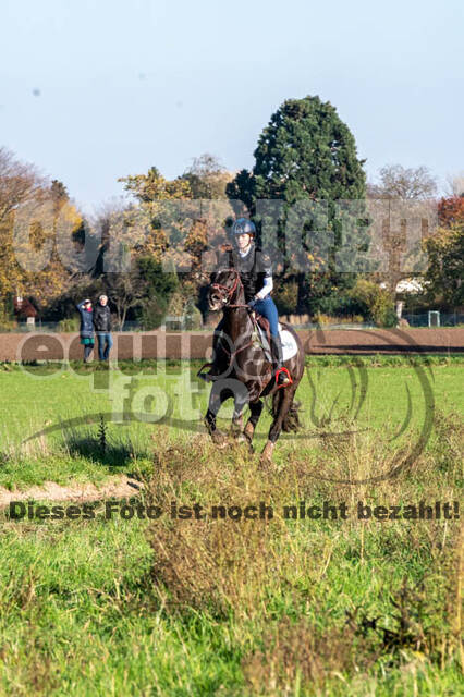 Vielseitigkeitslehrgang mit Jürg Kurbel (9.+10.11.2019)