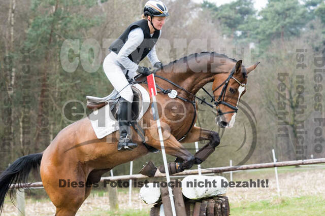 Jungpferdetag Hamminkeln