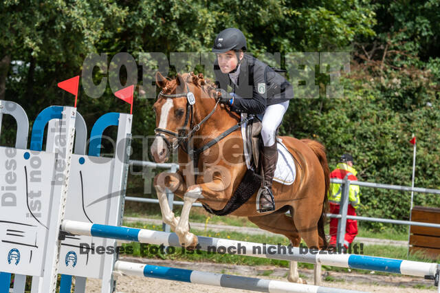 Late-Entry-Vielseitigkeit Langenfeld (06.+07.07.2020)