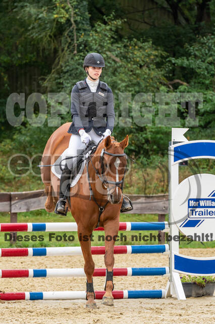 Vielseitigkeit RSV Wesel Obrighoven (26.+27.09.2020)