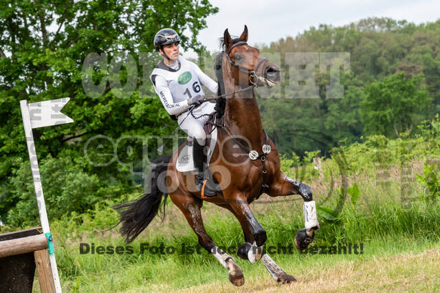 Westerstede Horse Trials 2021