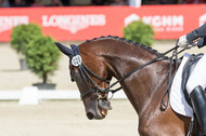 FEI European Championship Eventing 2017
