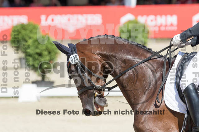 FEI European Championship Eventing 2017