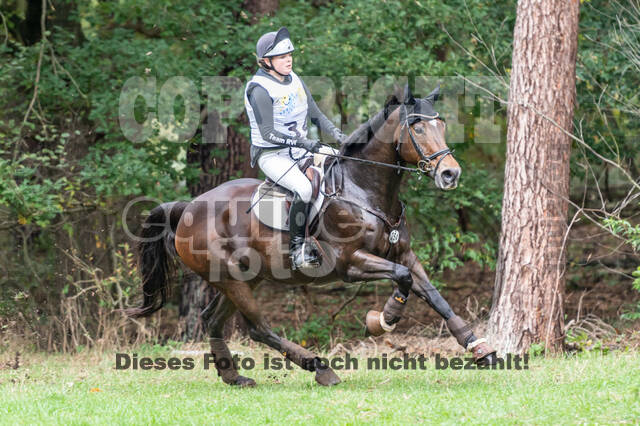 Vielseitigkeit RSV Wesel Obrighoven (26.+27.09.2020)