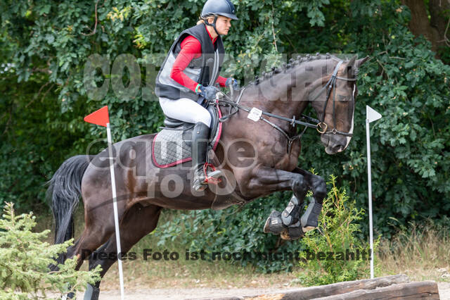 Late-Entry-Vielseitigkeit Langenfeld (11.+13./14.06.2020)