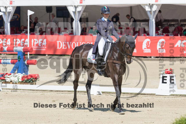 FEI European Championship