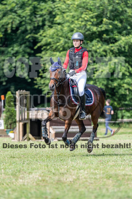 Goldene Schärpe 2021 - Ponys