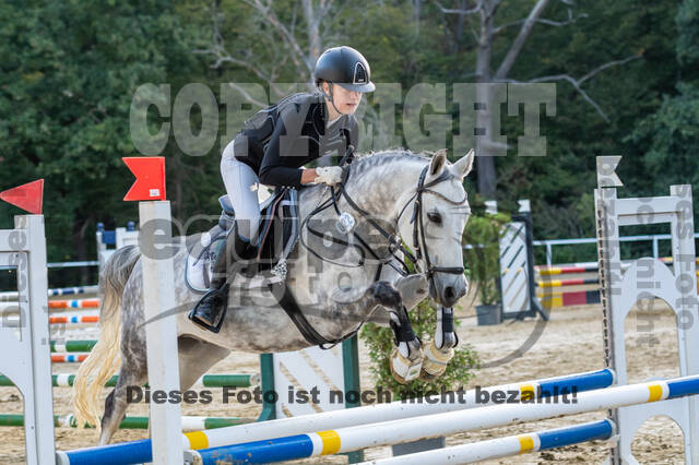 RFV Dinslaken-Hiesfeld (Herbstturnier)