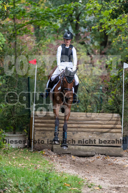 Goldene Schärpe 2020 - Pferde