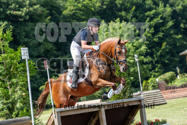 Goldene Schärpe 2021 - Ponys