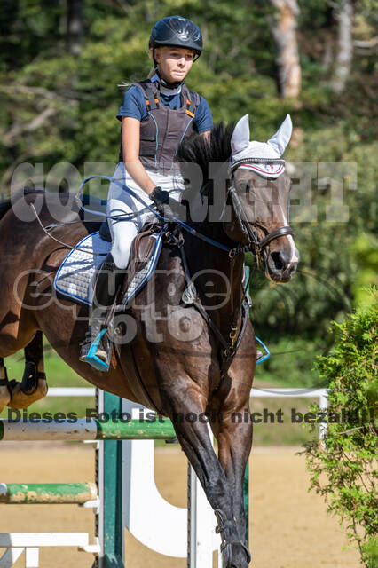 RFV Dinslaken-Hiesfeld (Herbstturnier)