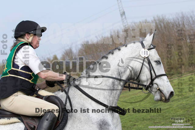 Vielseitigkeitsturnier RV Lippe Bruch Gahlen