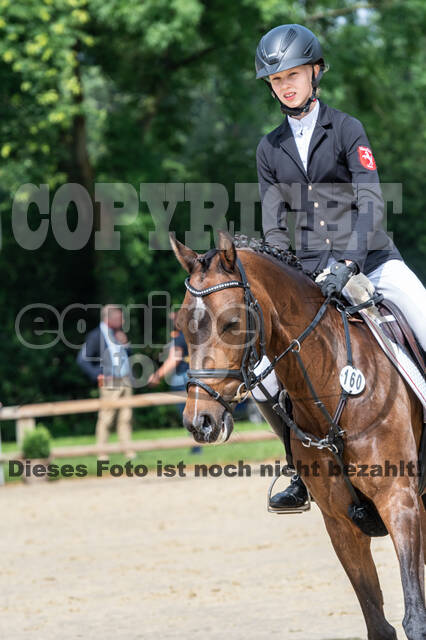 Goldene Schärpe 2021 - Ponys