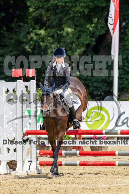 Goldene Schärpe 2021 - Ponys
