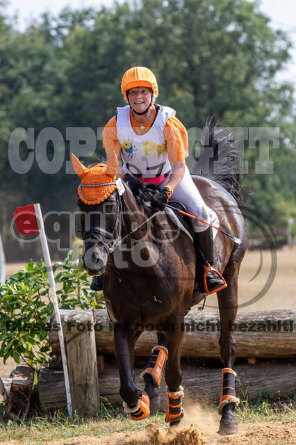 Late-Entry Vielseitigkeit Hamminkeln/Wesel (01.+02.08.2020)
