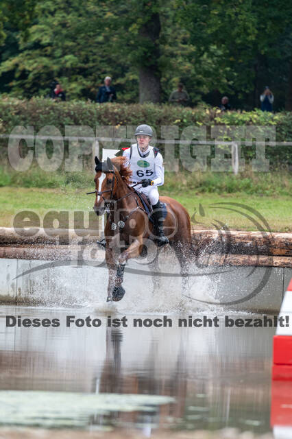 Deutsche Meisterschaft Vielseitigkeit (Luhmühlen)