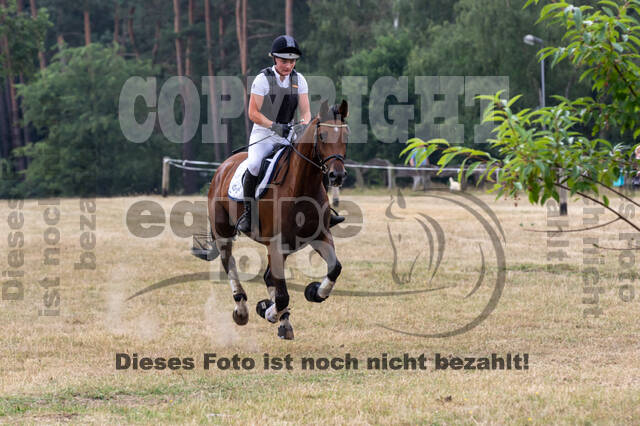 Late-Entry Vielseitigkeit Hamminkeln/Wesel (01.+02.08.2020)