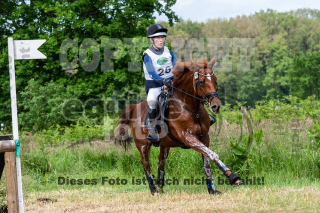 Westerstede Horse Trials 2021