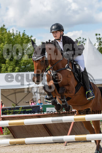 Landesturnier Rheinland, Vielseitigkeit, 22.+23.08.2020