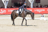 FEI European Championship