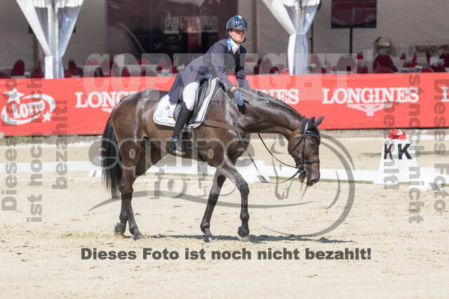 FEI European Championship