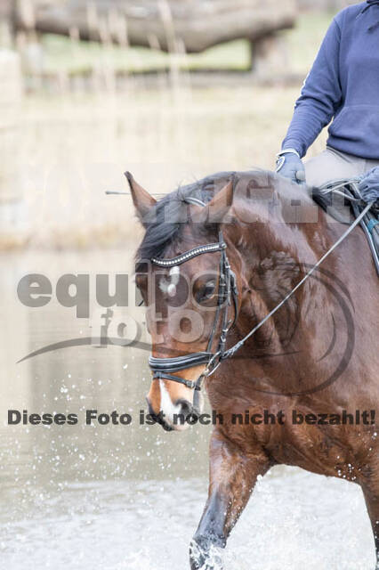 Geländetrainings RSV St. Hubertus Wesel Obrighoven