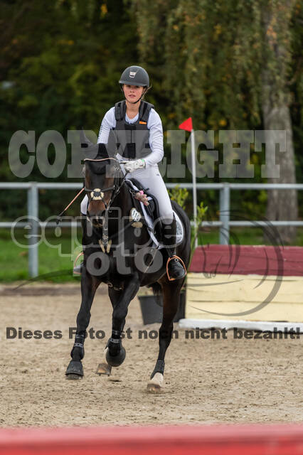 Goldene Schärpe 2020 - Pferde