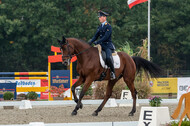 Deutsche Meisterschaft Vielseitigkeit (Luhmühlen)