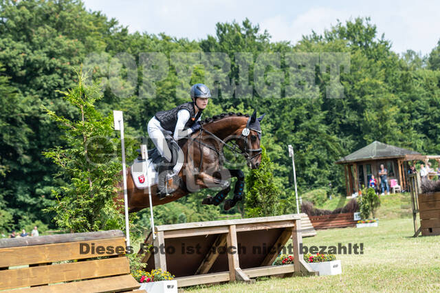 Goldene Schärpe 2021 - Ponys